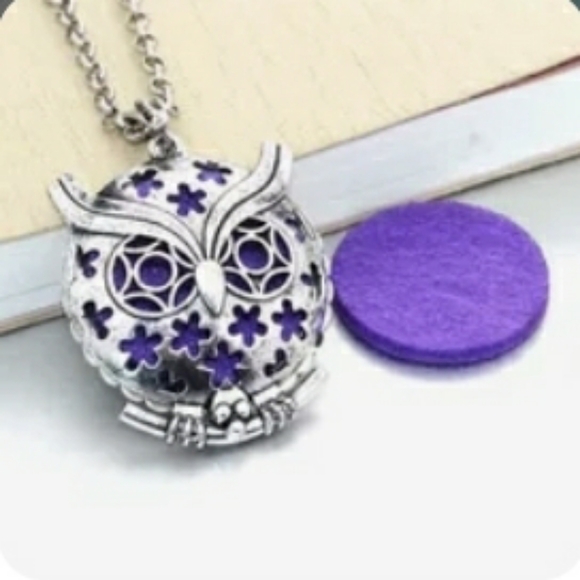 Bagsnbistros Jewelry - Owl aromatherapy diffuser necklace